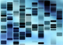 TalkScience_6_dna_profiling